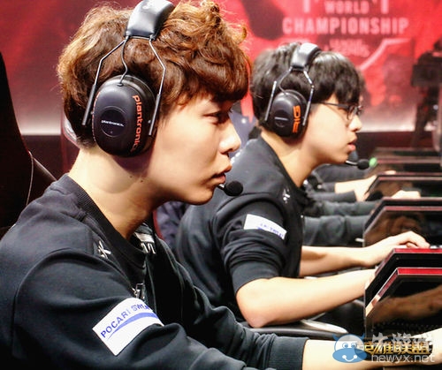 了许多小鸟 了许多小鸟